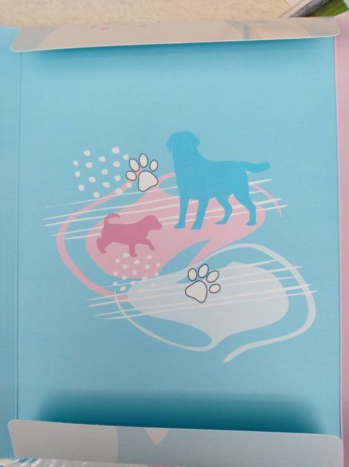 Dossier carton chien dalmatien.