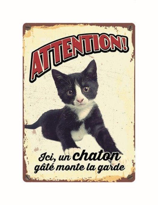 Plaque métal chaton gâté