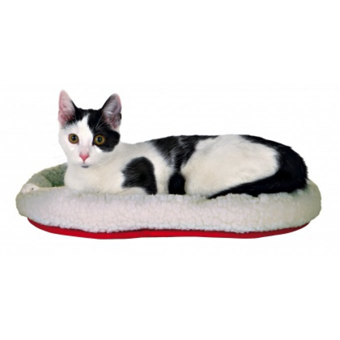 Lit douillet chat blanc et rouge