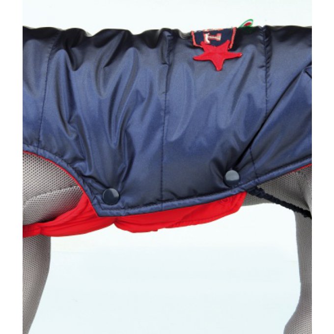 manteau bormio pour chien