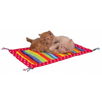 Tapis de jeu pour chat