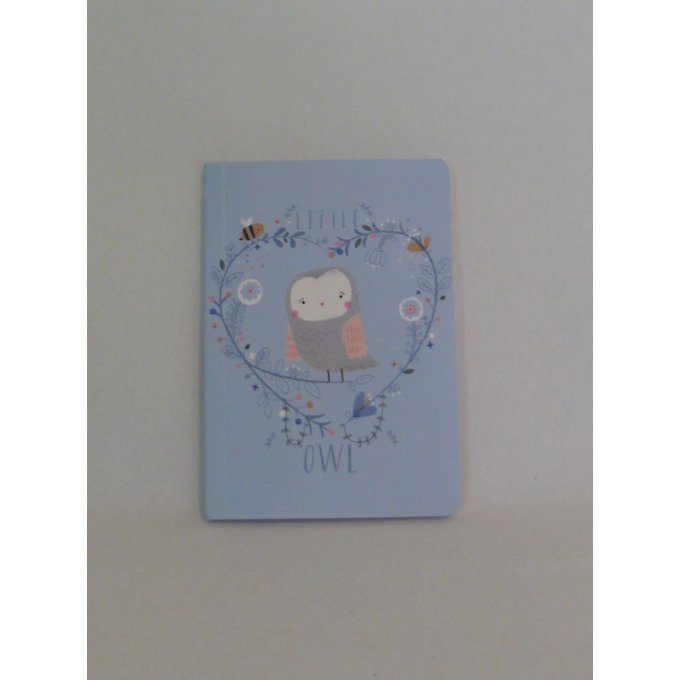 Carnet chouette pastel