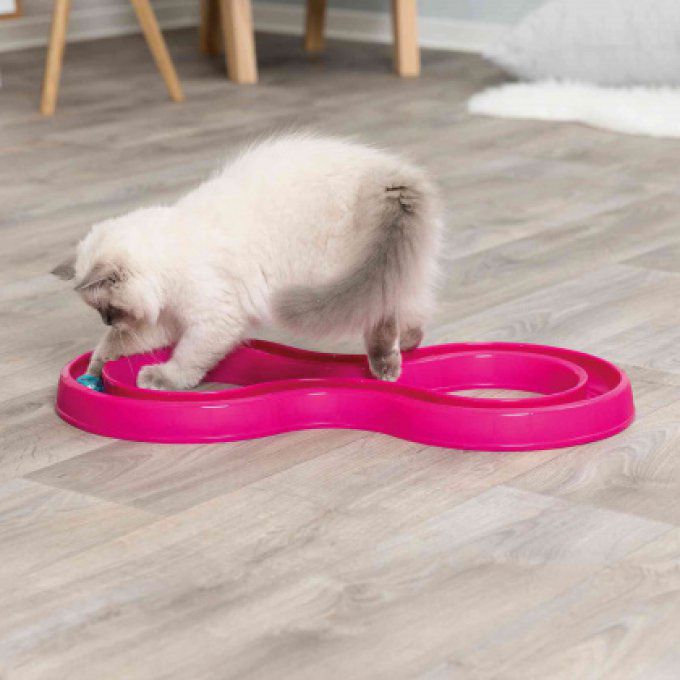 Flashing Ball Race pour chat