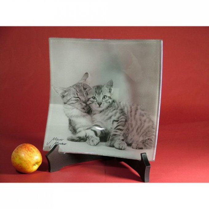 plat en verre maman chat et châton