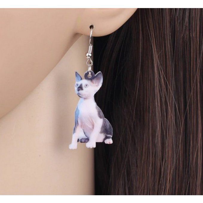 Boucles d'oreilles chat sphynx