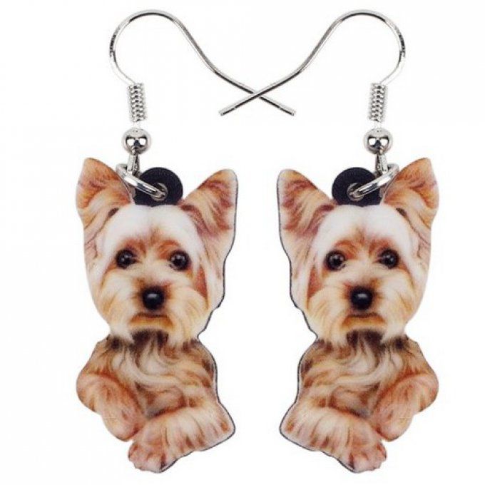 Boucles d'oreille chien yorkshire