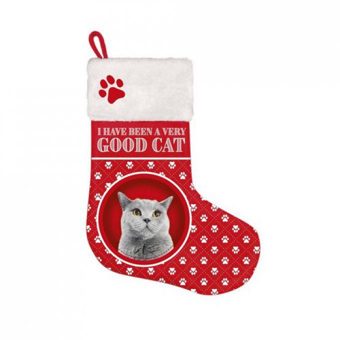 botte de noël chat gris