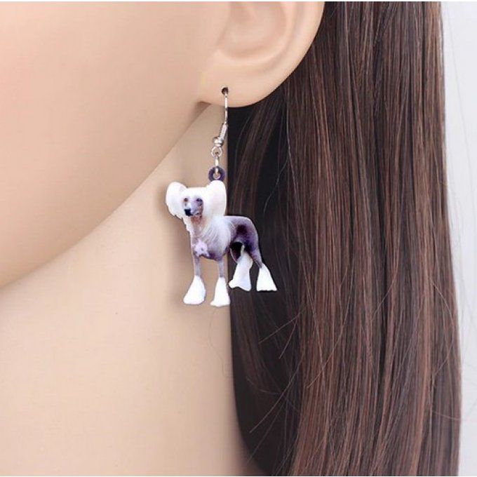 Boucles d'oreille chien chinois nu à crête