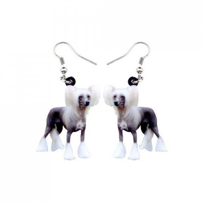 Boucles d'oreille chien chinois nu à crête