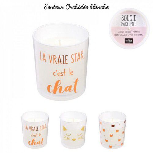 Bougie La Vraie Star C Est Le Chat Toutenchat