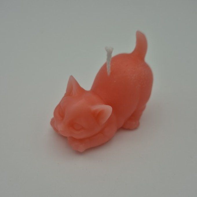 Bougie petit chat couché.