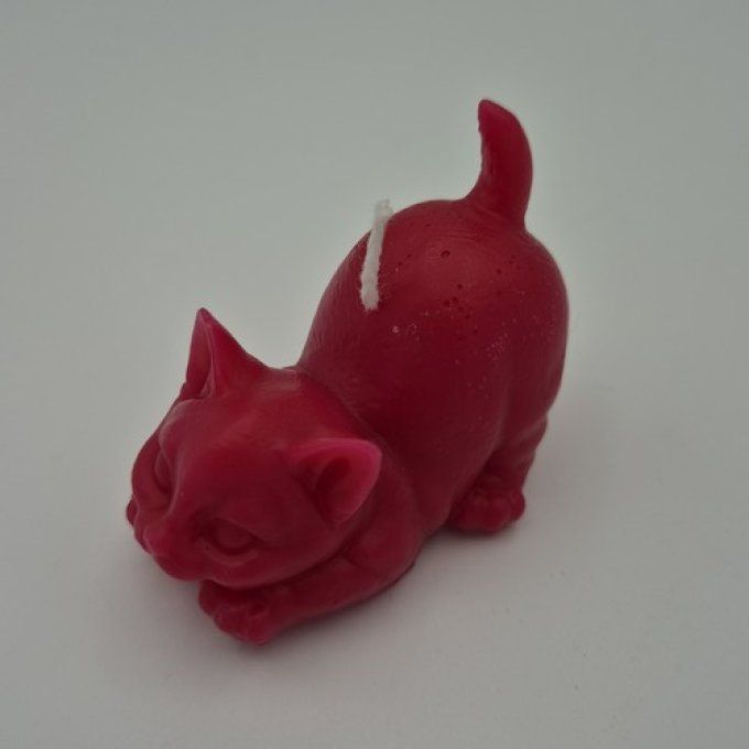 Bougie petit chat couché.