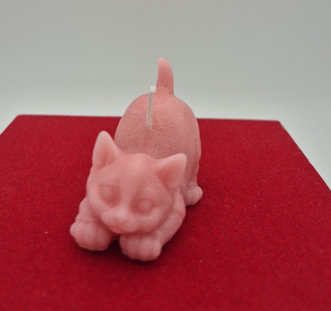 Bougie petit chat couché.