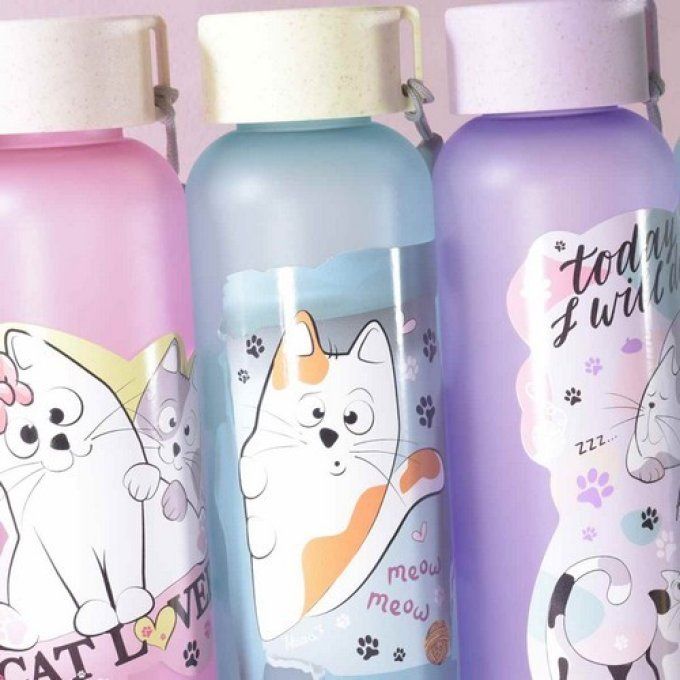 Bouteille à vis chats fun rose, mauve ou bleu.