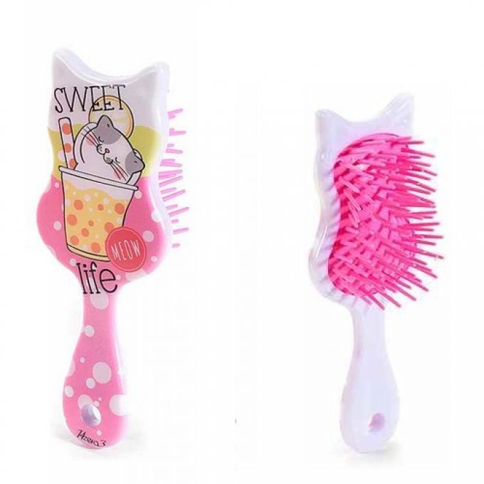 Petite brosse chat fun très colorée.