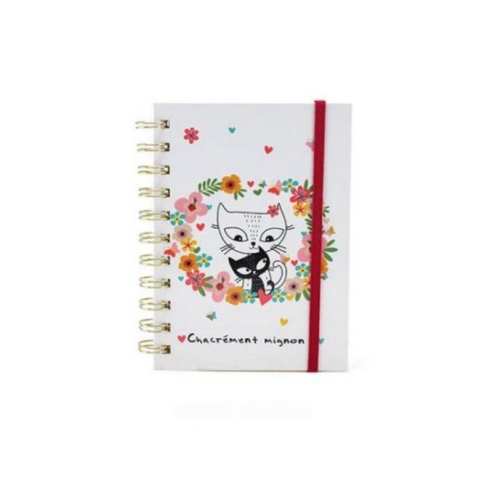 Carnet à ressort chats collection springy