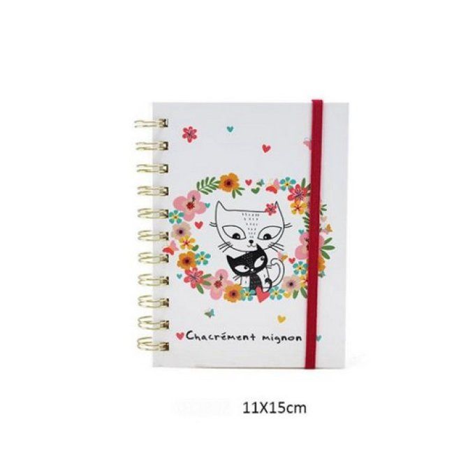 Carnet à ressort chats collection springy