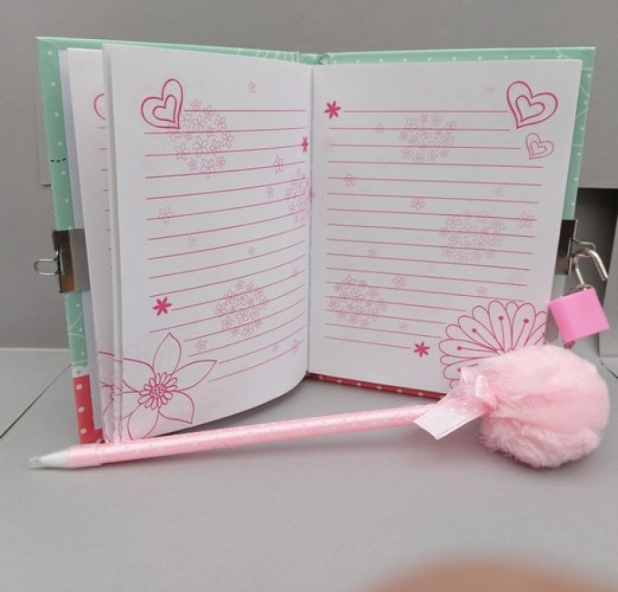 Agenda secret chouettes et son crayon pompon