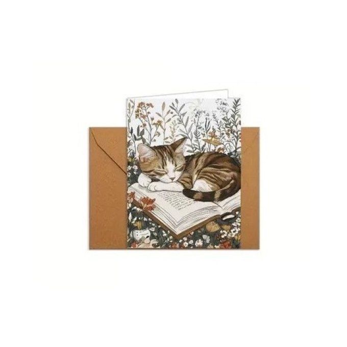 Cartes de Vœux ou pour tout autre message : Chat & Livre