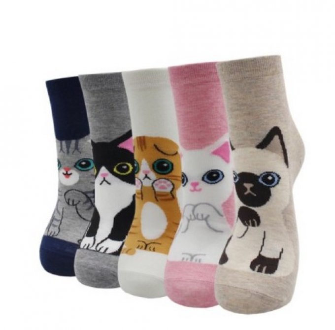 Chaussettes chats differentes races