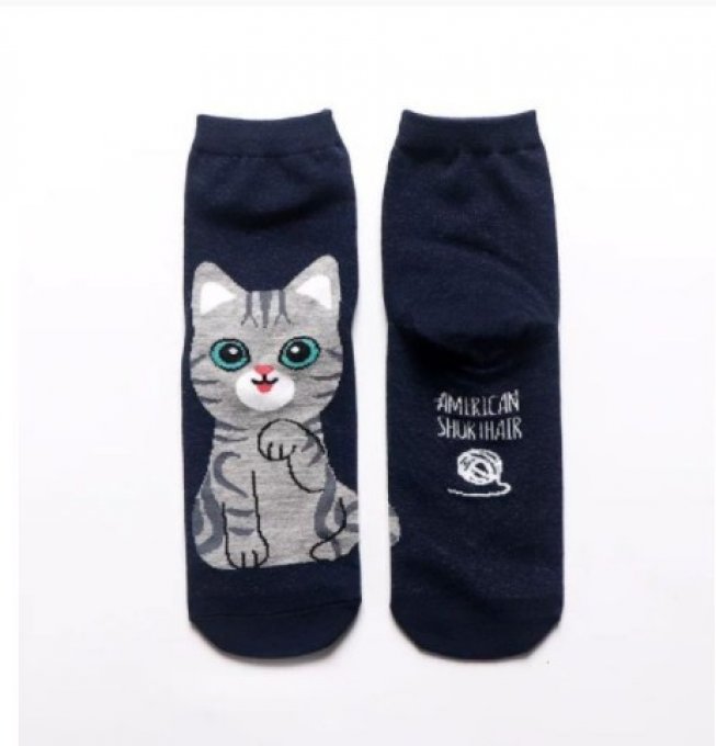 Chaussettes chats differentes races