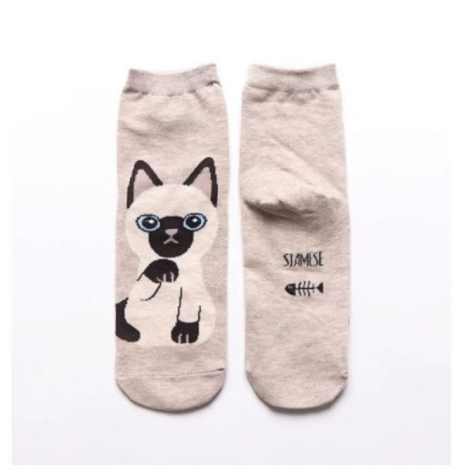 Chaussettes chats differentes races