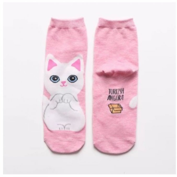 Chaussettes chats differentes races