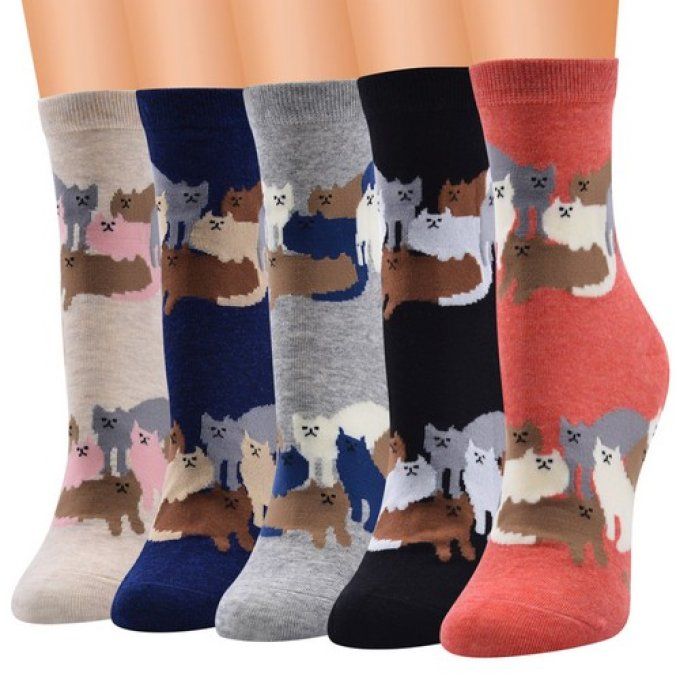 Chaussette la grande famille des chats