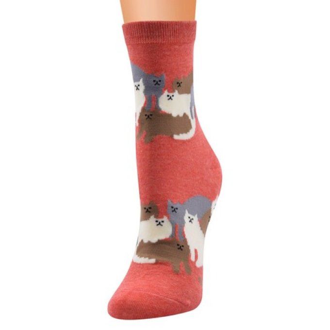 Chaussette la grande famille des chats