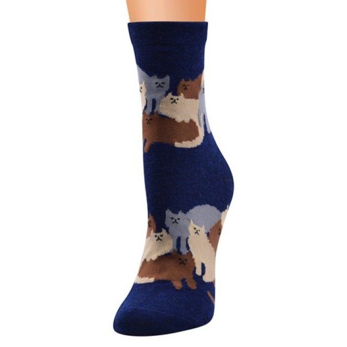 Chaussette la grande famille des chats