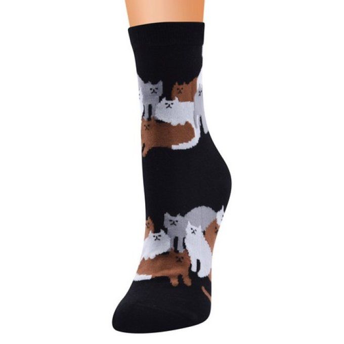 Chaussette la grande famille des chats