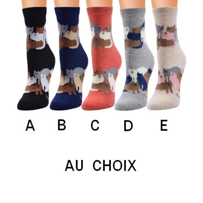 Chaussette la grande famille des chats