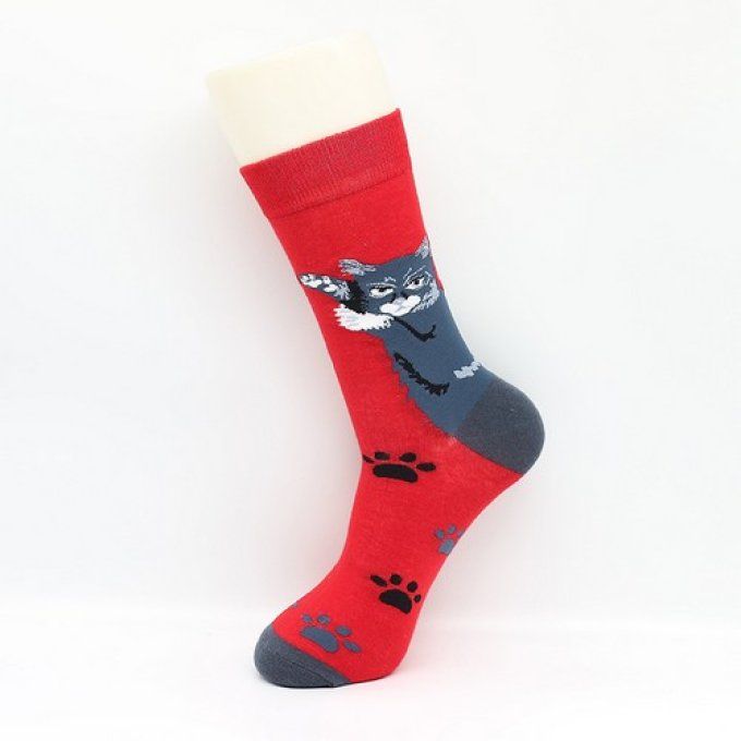 Chaussette rouge chat et pattes