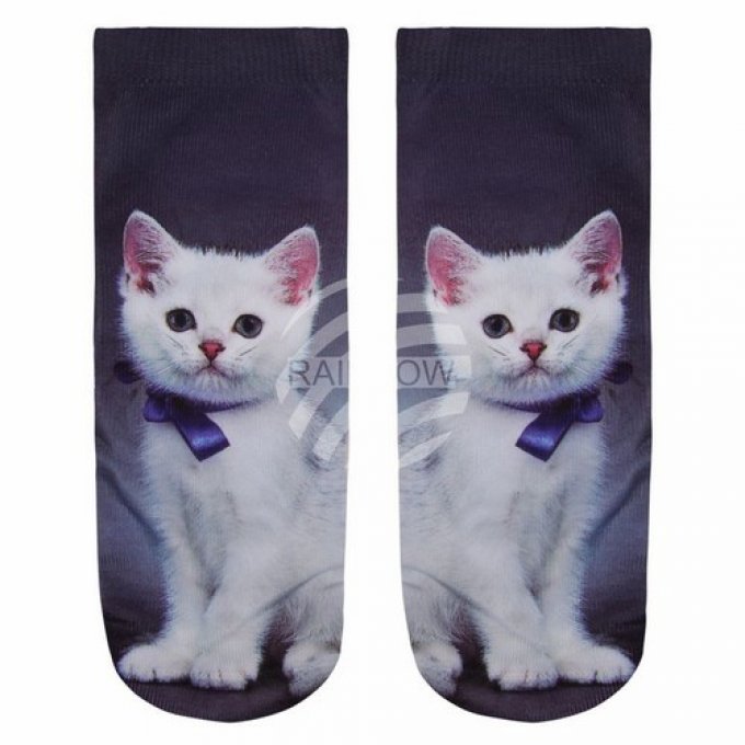 chaussette chaton blanc collier bleu