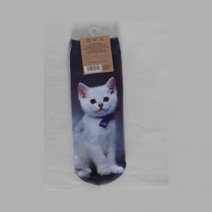 chaussette chaton blanc collier bleu