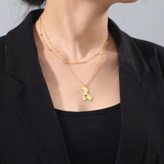 Collier mes amis chat et chien