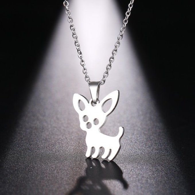 Collier chien petit chihuahua 