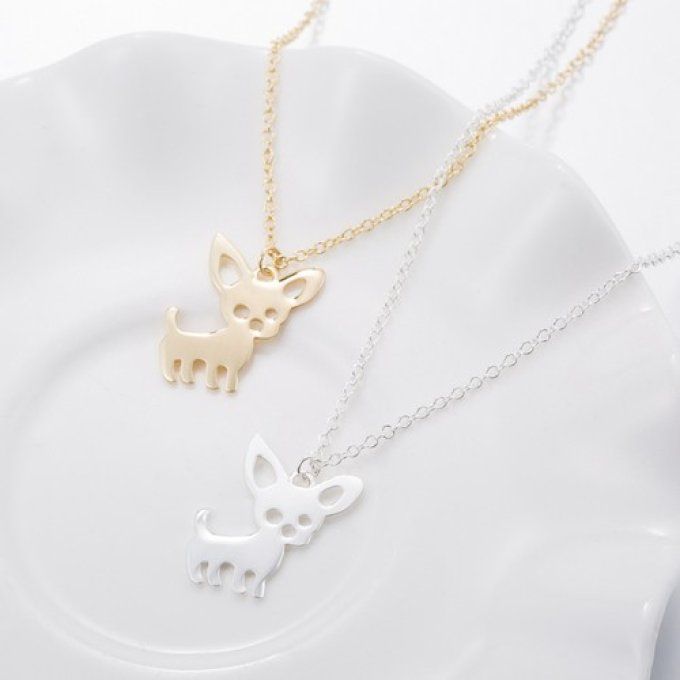 Collier chien petit chihuahua 
