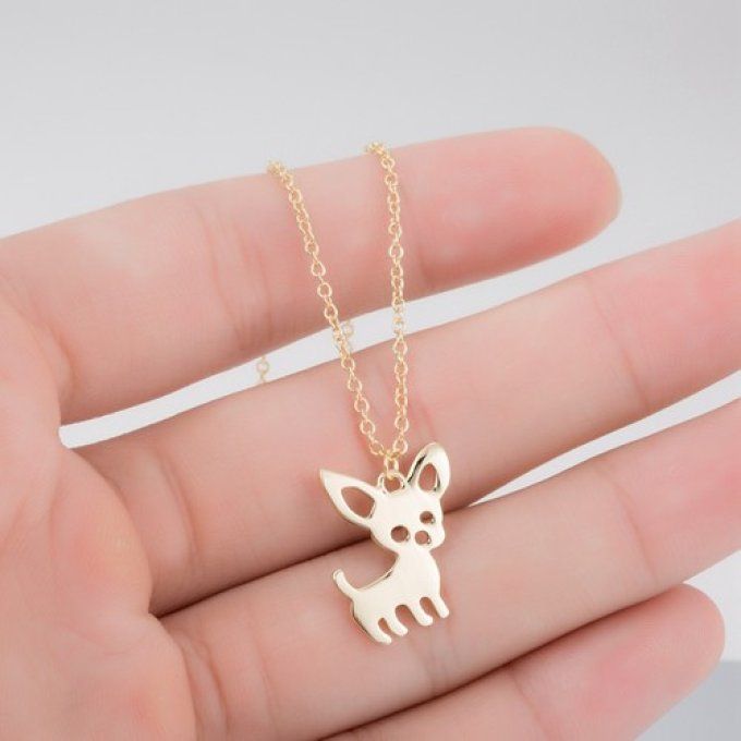 Collier chien petit chihuahua 