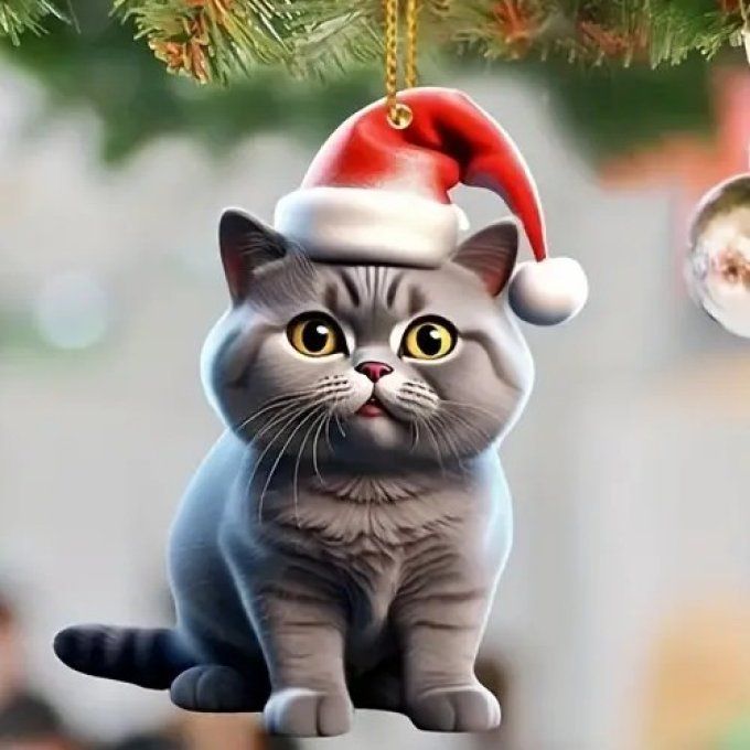 Décoration chat au bonnet de père noel rouge.