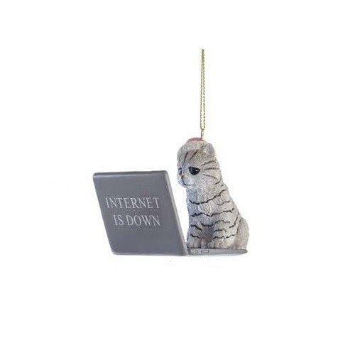 Chat geekette