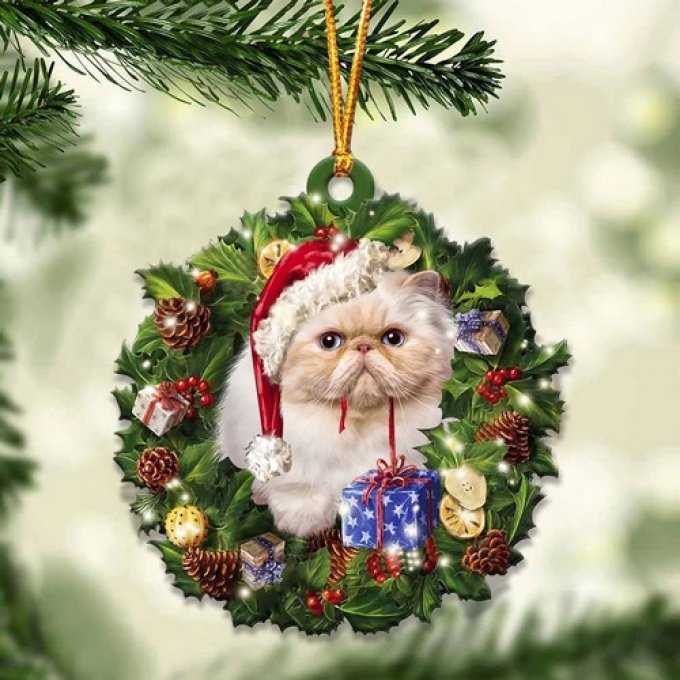 Décoration de noel chats de race