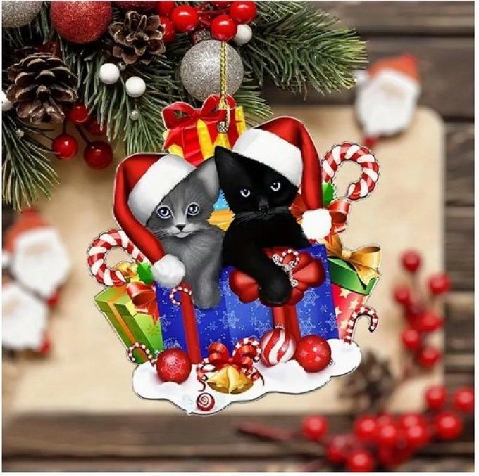 Boite cadeau Noël, chat Père Noël, boutique cadeau chat |Tribu de chats