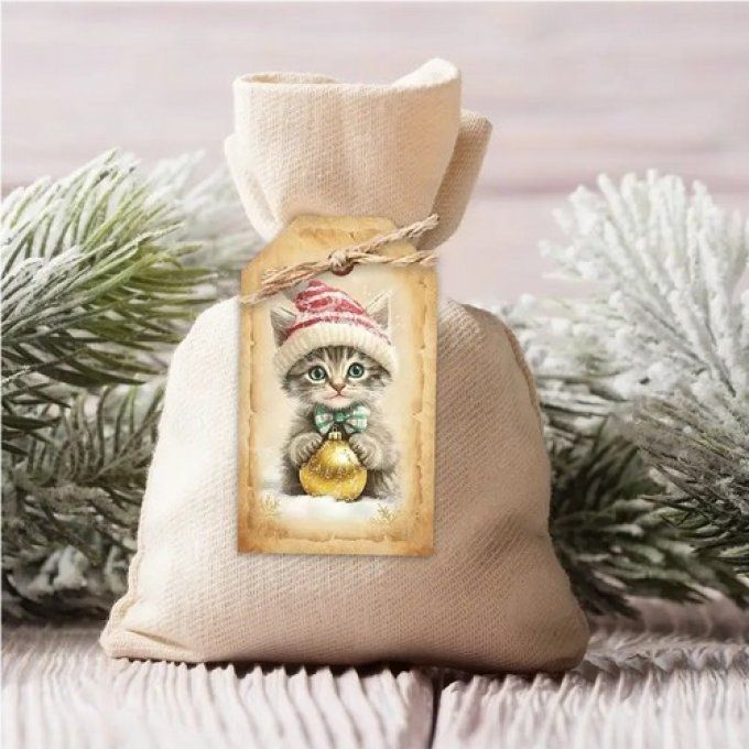 Paquet de 5 étiquettes cadeau chats pour noel .