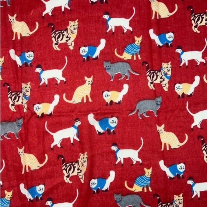 Foulard les chats en habits