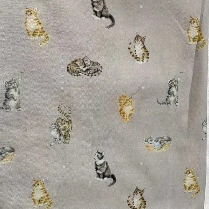 Foulard chats mignons gris