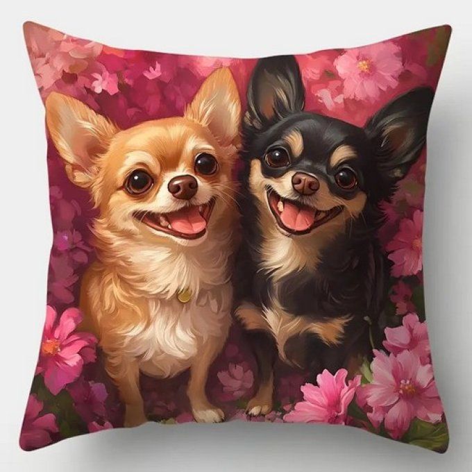 Housse de coussin chihuahuas amoureux.