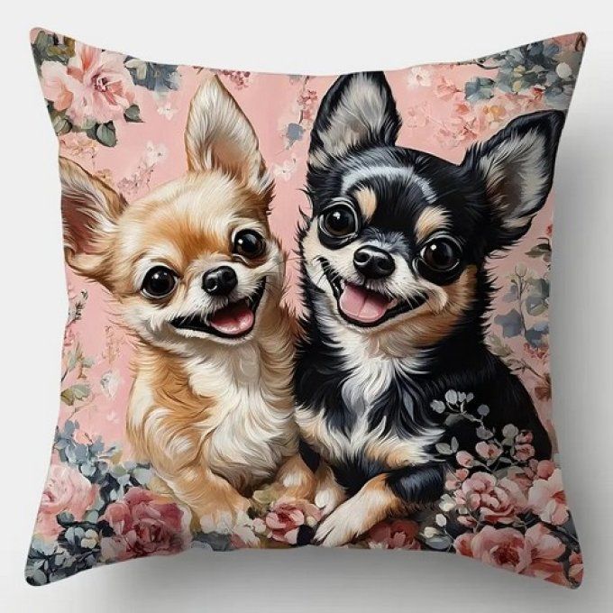 Housse de coussin chihuahuas amoureux.