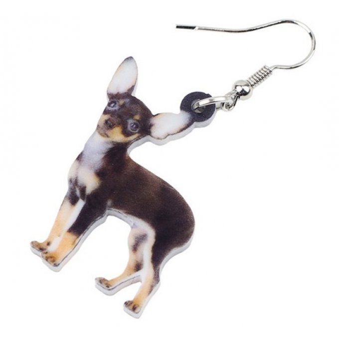 Boucles D'oreilles Créoles Enfant Motif Petit Chien - Argent Sterling 925, Antibactérien, Boîte Cadeau
