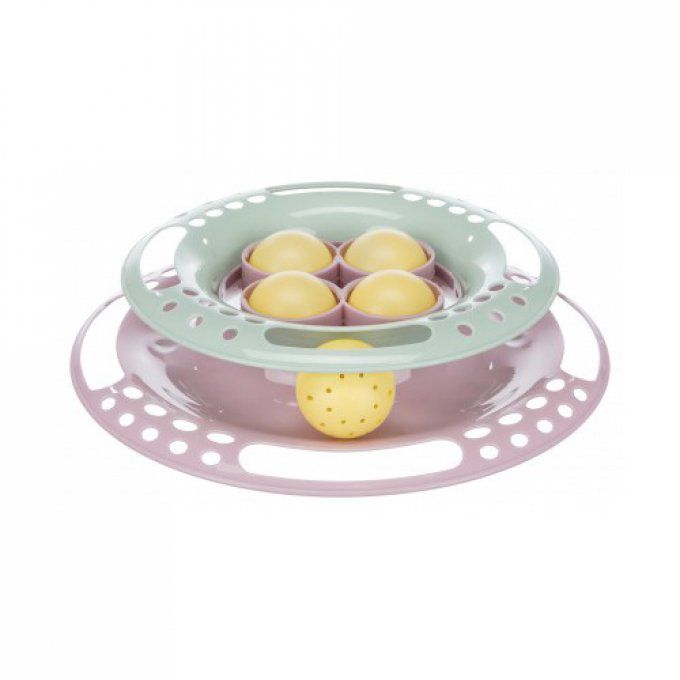 Junior kitten circle pour chat